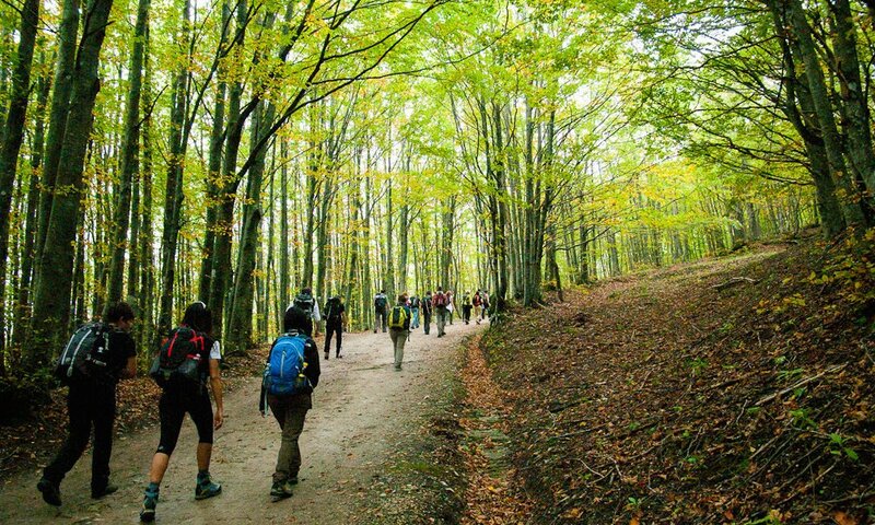 Casentinesi Forests National Park
