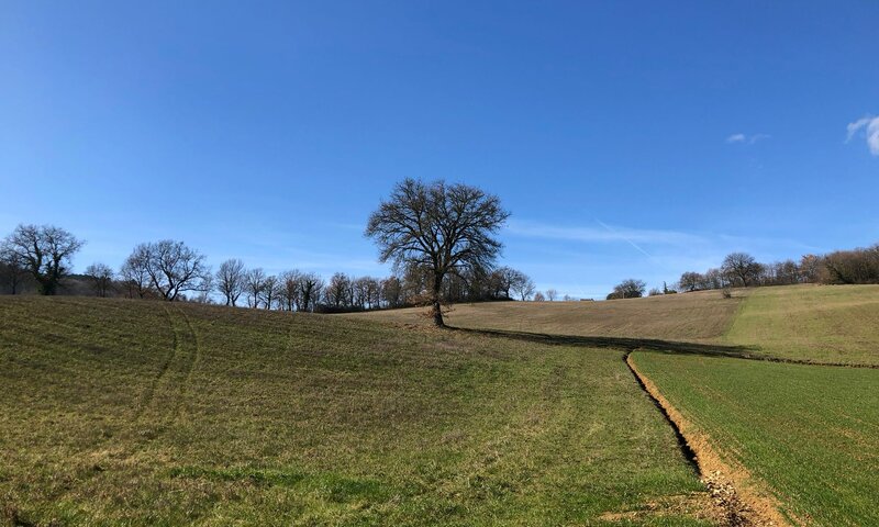 Casentino | © © N. Vigiani